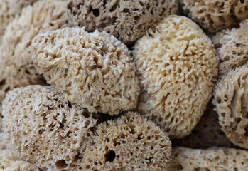 Natural sponges in local market. Rethymnon, Crete , Greece