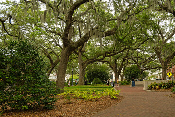 Fototapeta na wymiar park in downtown Savannah