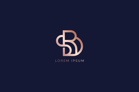 srd letter fashion brand design modern style creative golden wordmark design typography illustration, sr logo design, sr golden initials, srd lettering