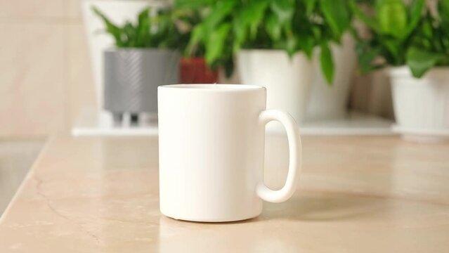 White tea cup with hot tea and steam on a background of green plants. Tea break.