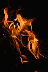Tongues of flame on a dark background.