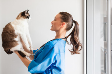 Veterinarian Doctor Woman Holding And Examining Cat in Modern Clinic