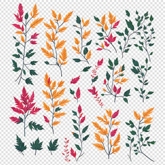 Luxury botanical gold wedding frame elements collection. Set of circle, glitters, leaf branches, flower, eucalyptus. Elegant foliage design for wedding, card, invitation, greeting.