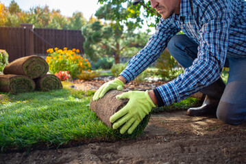 Landscape Gardener Laying Turf For New Lawn in the garden