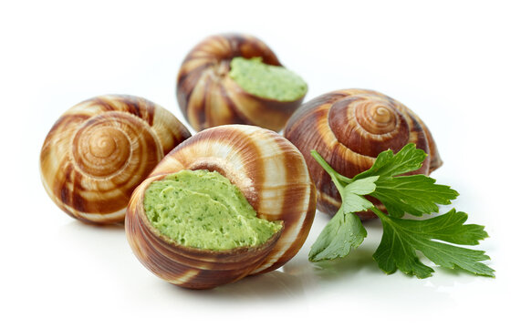 escargot snail filled with garlic and parsley butter