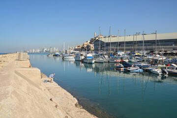 The port of Jaffa.