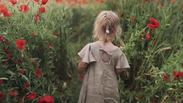 girl in a poppy field
