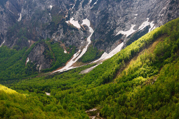 Beautifull Logar valley or Logarska dolina park, Slovenia, Europe © Rechitan Sorin