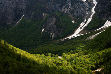Beautifull Logar valley or Logarska dolina park, Slovenia, Europe © Rechitan Sorin