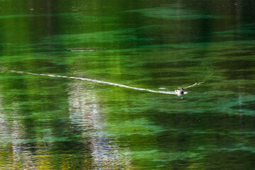 Summer evening landscape on Jasna park lake. Nature scenery in Triglav national park in Kranjska Gora, Slovenia, Europe.	
