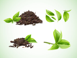 Realistic dry tea. Heap of dried black leaves and herbal bunch green leaf growing plant, foliage pile nature caffeine products elements chinese puer leafs exact vector illustration