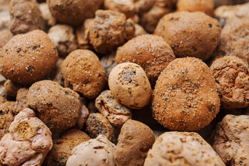 Expanded clay. small lumps of clay used in construction and for growing plants.
