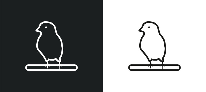 canary outline icon in white and black colors. canary flat vector icon from animals collection for web, mobile apps and ui.
