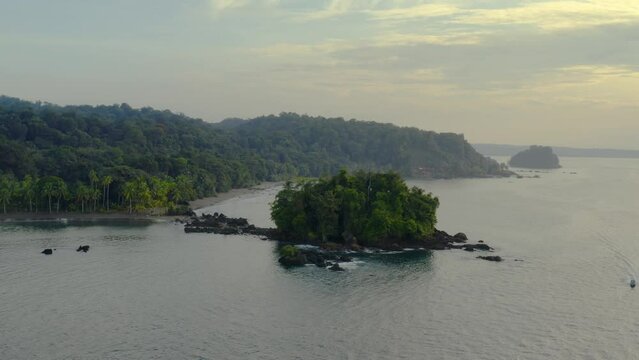 Pacific Coast With Rainforest