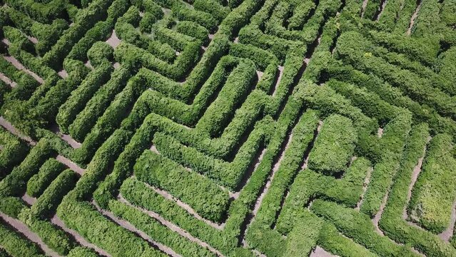Camera moving over a green maze slowly 