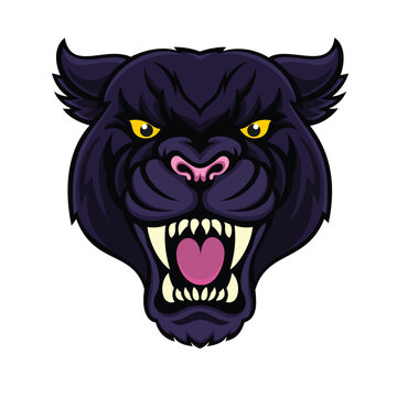 panther head vector illustration angry panther design