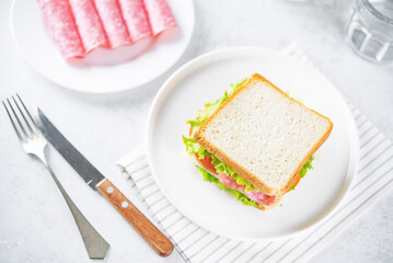 Sandwich with sausage, cheese and tomato for lunch