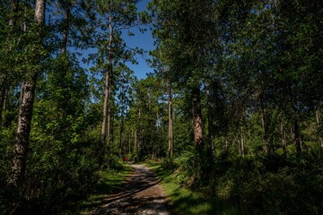 Obraz premium julington creek preserve