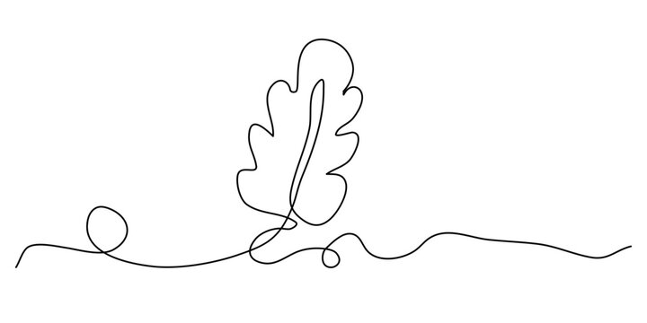 Oak leaf line art. One continuous line drawing abstract leaf isolated vector object on white background