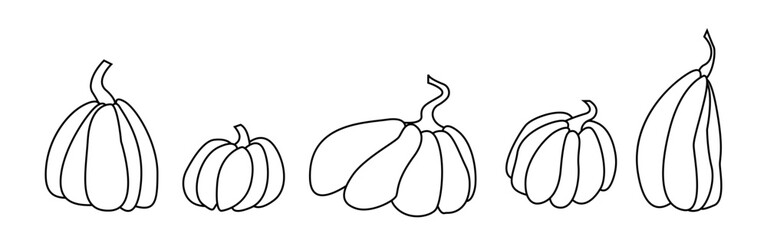 Set of line autumn pumpkins. Autumn harvest