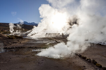 Exploring the fascinating geothermic fields of El Tatio with its steaming geysers and hot pools high up in the Atacama desert in Chile, South America