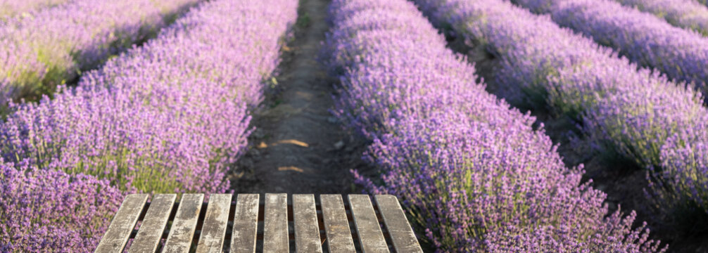 Perspective background with wooden table for your design. Lavender field region Provence