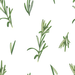 Watercolor seamless pattern herbal with rosemary sprigs. Hand-drawn illustration isolated on white background. Concept for fabric print, label, banner, menu, flyer, brochure template