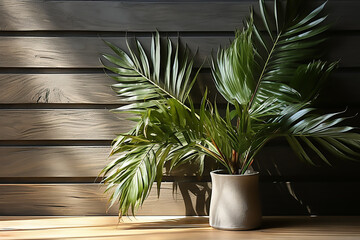 beautiful foliage dappled sunlight of tropical palm tree leaf shadow