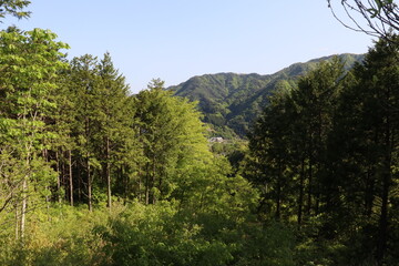 Nagano, Japan, my first international travel.
