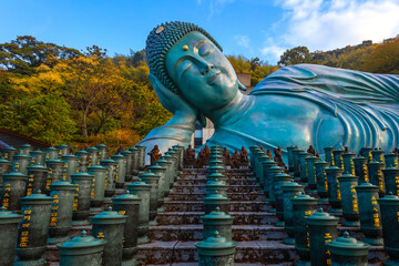 Fukuoka, Japan - Nov 21 2022: Nanzoin Temple in Fukuoka is home to a huge statue of the Reclining Buddha (Nehanzo) which claims to be the largest bronze statue in the world.