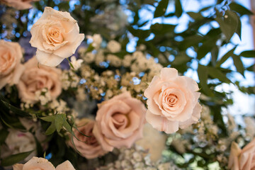 Beautiful Wedding Flowers Arch Ceremony Reception Macro Close-up Macro Event Events Flower Flowers Bouquet Design Arrangement 