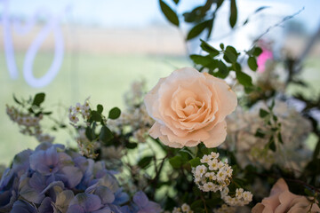Beautiful Wedding Flowers Arch Ceremony Reception Macro Close-up Macro Event Events Flower Flowers Bouquet Design Arrangement 
