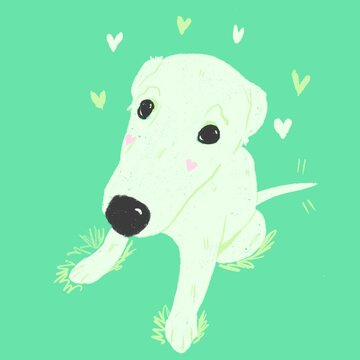 Perrito con mirada tierna con corazones en fondo verde