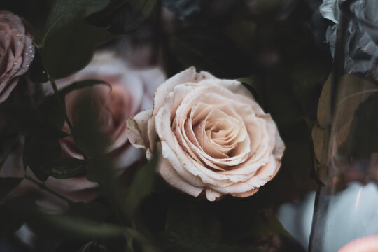 Beautiful Wedding Flowers Bouquet Event Design Arrangement Floral Events Reception Ceremony Love Romantic Tableware Silverware Invitation Centerpiece Glass Bokeh Background Garden Nature Pretty Lights