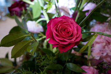 Dark Romantic Wedding Event Flowers Ceremony Reception Events Flower Floral Bokeh Passionate Cake Botanical Nature Garden Close-up Rose
