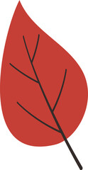 leaf 80