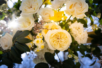 Beautiful Wedding Hope Blue Yellow Rose Arch Event Flowers Events Flower Ceremony Reception Bokeh Close-up Macro Nature Plants Outdoors
