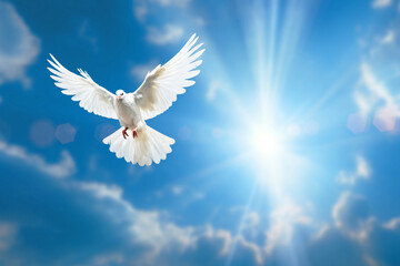 white dove flying on blue sky for freedom concept in clipping path,international day of peace ,Pray...
