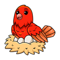 Cute red factor canary cartoon with eggs in the nest