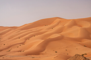 Fototapeta na wymiar Empty Quarter Desert in AsiaThe Rub' al Khali is the sand desert encompassing most of the southern third of the Arabian Peninsula. The desert covers some 650,000 km² including parts of Saudi Arabia, O