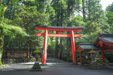 Hakone, Kanagawa Prefecture, Japan - July 2, 2023 : Torii gate in Japanese temple gate at Hakone Shrine near lake Ashi at Hakone city, Kanagawa prefecture, Japan