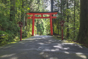 Torii gate in Japanese temple gate at Hakone Shrine near lake Ashi at Hakone city, Kanagawa...