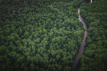 Beautiful natural scenery of a river in Southeast Asia, a tropical forest with mountains in the background, aerial view, drone shot.