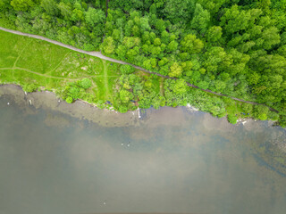 Aerial view of lake or river green shore with forest. Summer season.