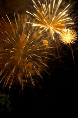 Gold fireworks filling the dark night sky while celebrating near Minneapolis Minnesota USA