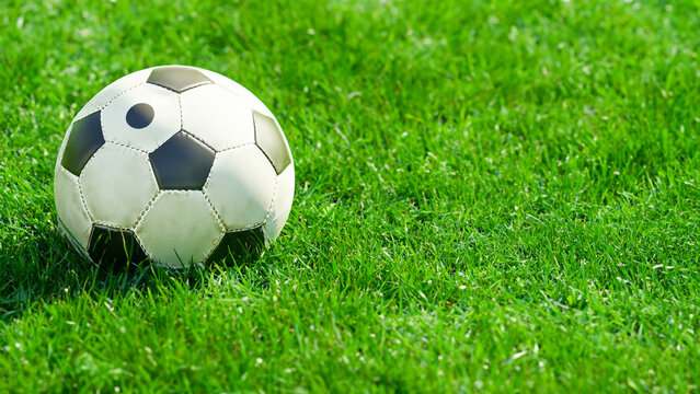 A football laying in the grass.