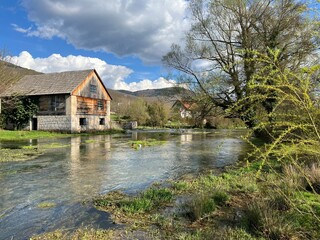 Obraz premium The course of the Gacka river immediately after the Majer's vrilo or the Gacka river below the source of the Majer's vrilo - Croatia (Tok rijeke Gacke neposredno nakon Majerovog vrila - Hrvatska)