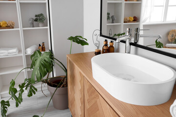 White sink with bath accessories on chest of drawers and houseplant in room