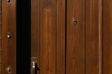 Frost on an old wooden door