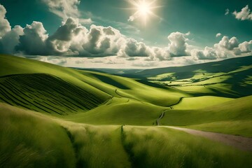 A beautiful rolling landscape on a summer's day